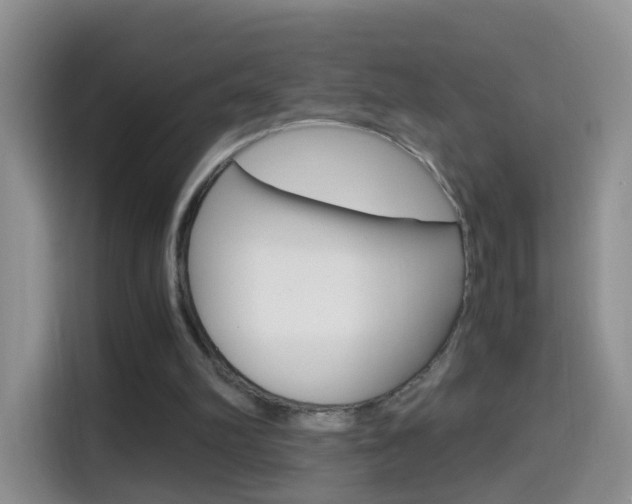 X0000114660102200910201029