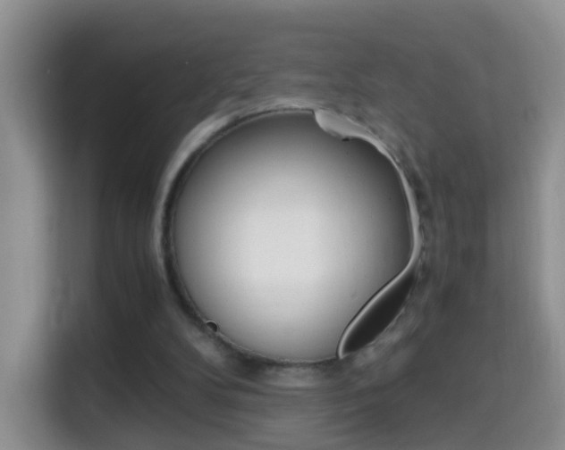 X0000114660104200910201029