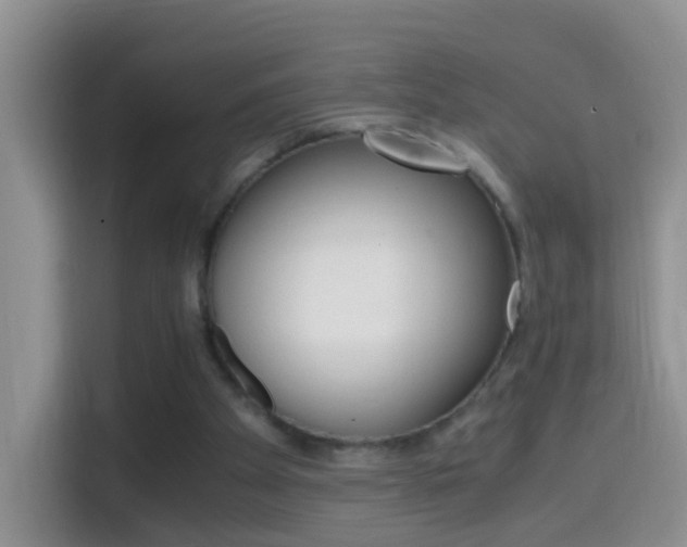 X0000114660105200910201029