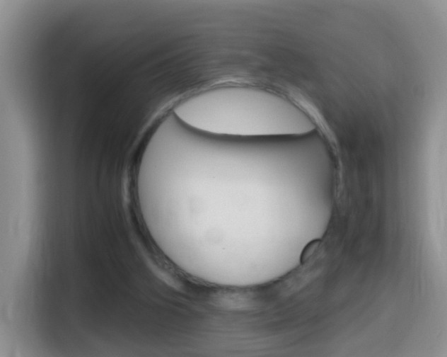 X0000114660106200910201029