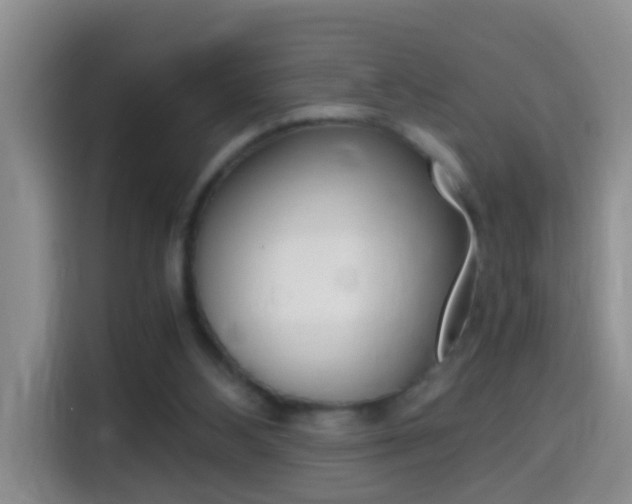 X0000114660108200910201029