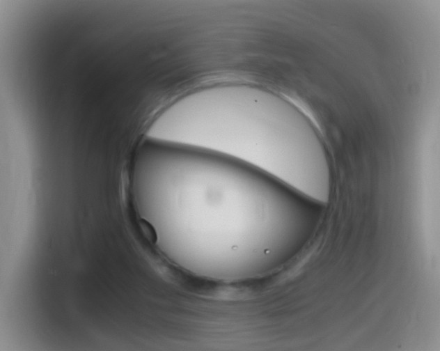 X0000114660109200910201029