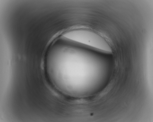 X0000114660112200910201028