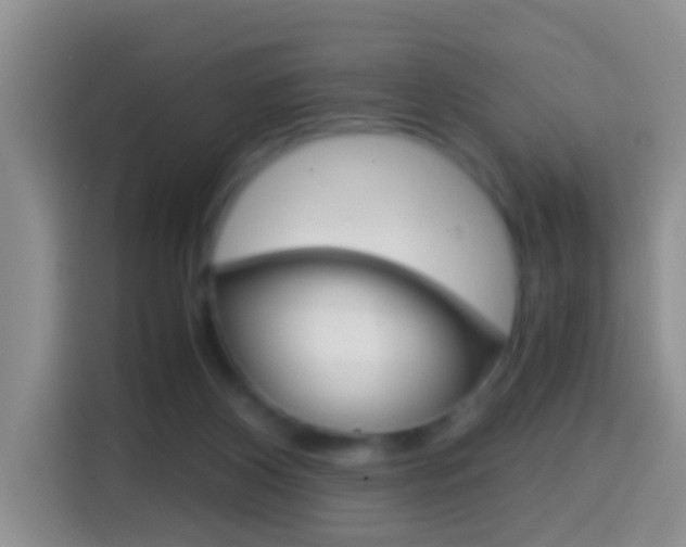 X0000114660116200910201028