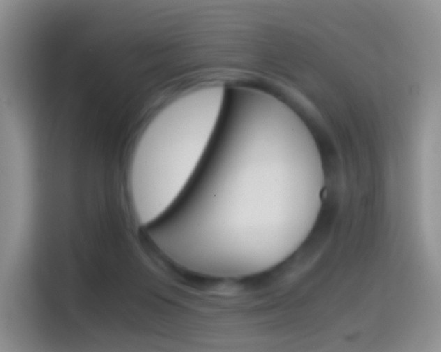 X0000114660119200910201028