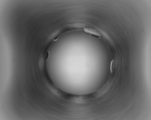 X0000114660120200910201028