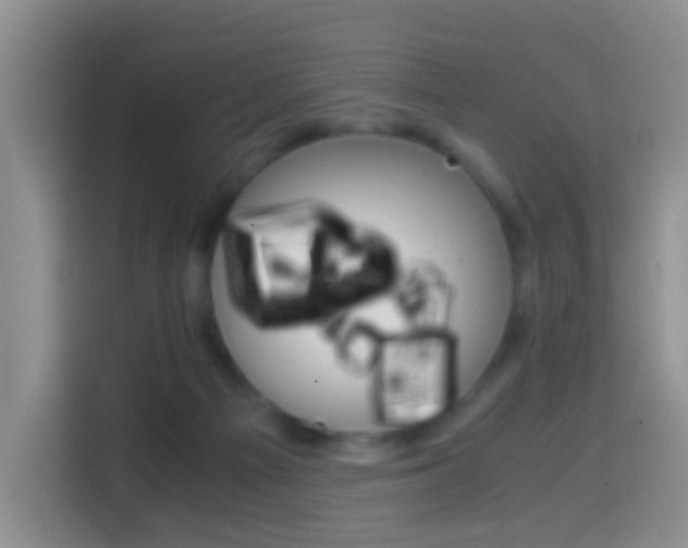 X0000114660121200910201028
