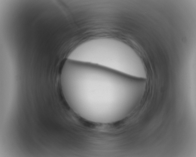 X0000114660125200910201028