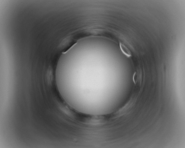 X0000114660128200910201028