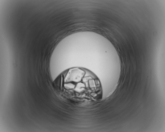 X0000114660136200910201028