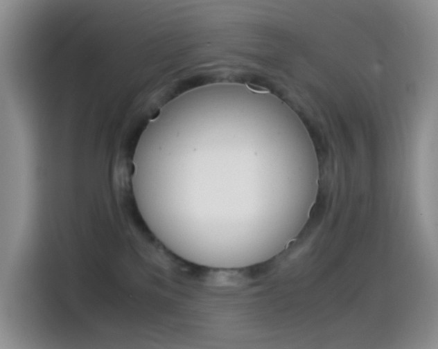 X0000114660137200910201028