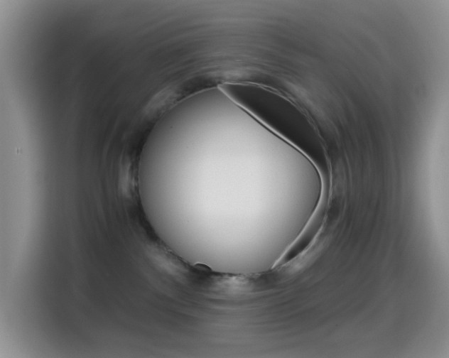 X0000114660140200910201028