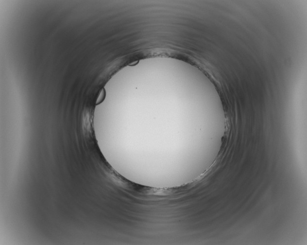 X0000114660142200910201028