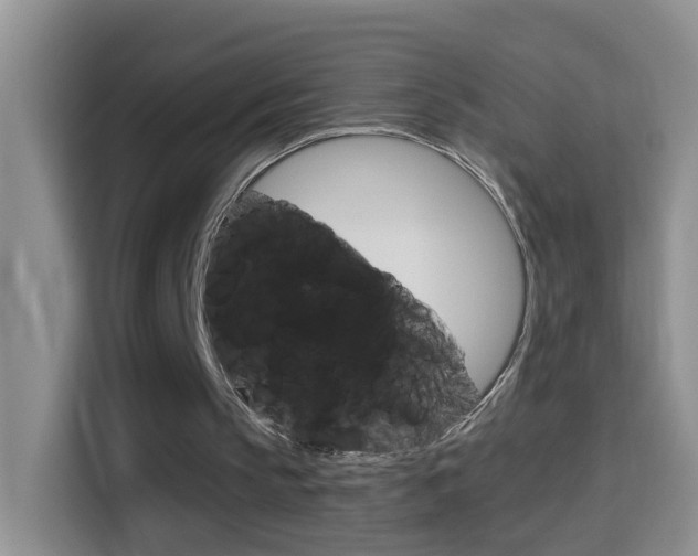 X0000114660145200910201027