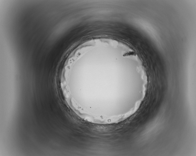 X0000114660146200910201027