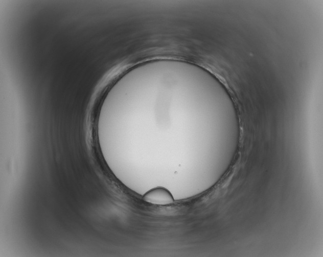 X0000114660149200910201028