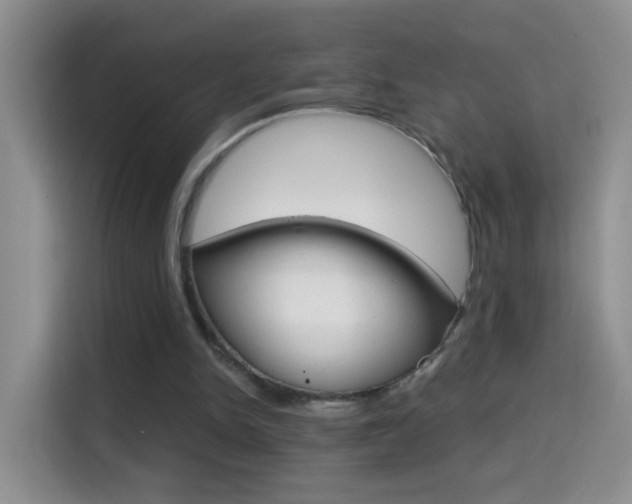 X0000114660150200910201028