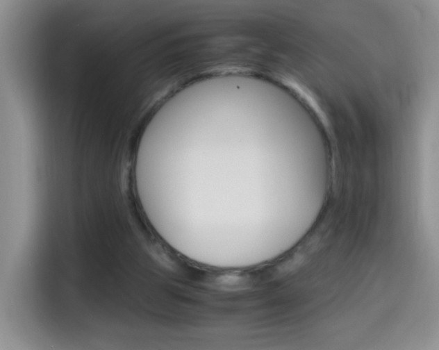 X0000114660153200910201028