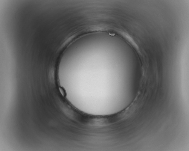 X0000114660154200910201028