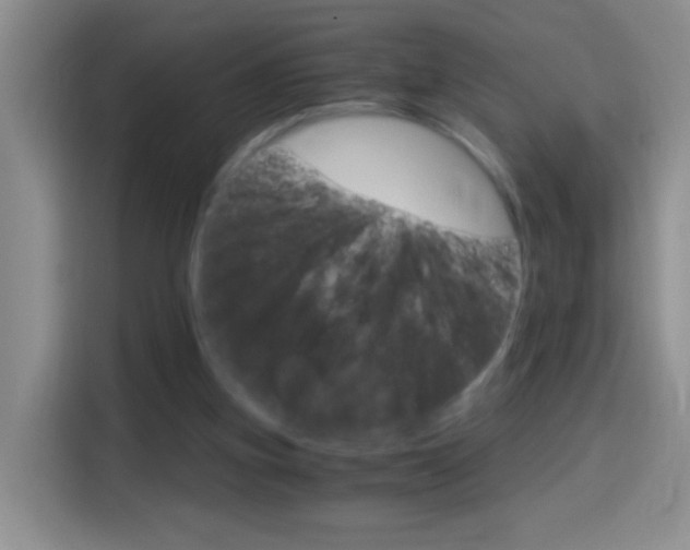 X0000114660155200910201028