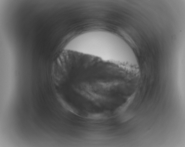 X0000114660163200910201028