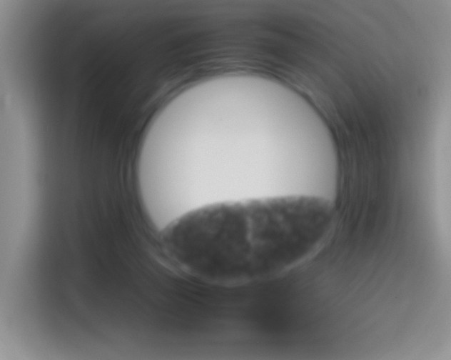 X0000114660165200910201028