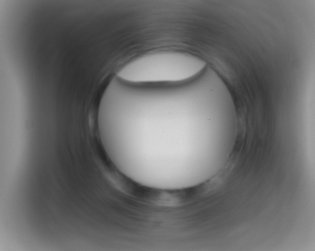 X0000114660166200910201028