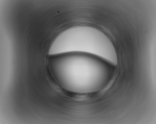 X0000114660170200910201028