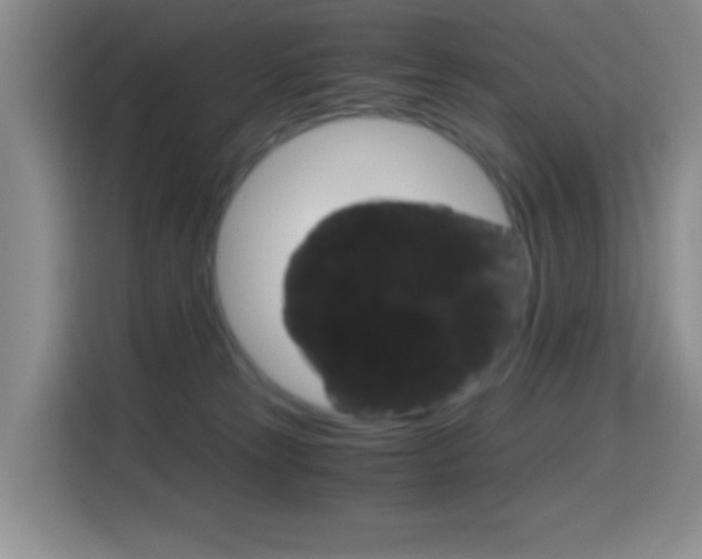 X0000114660181200910201028