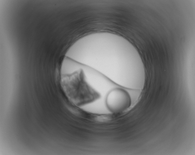 X0000114660183200910201028