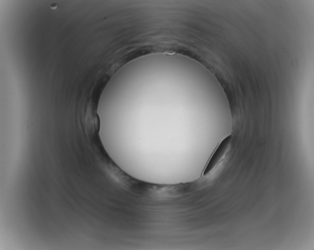 X0000114660186200910201028