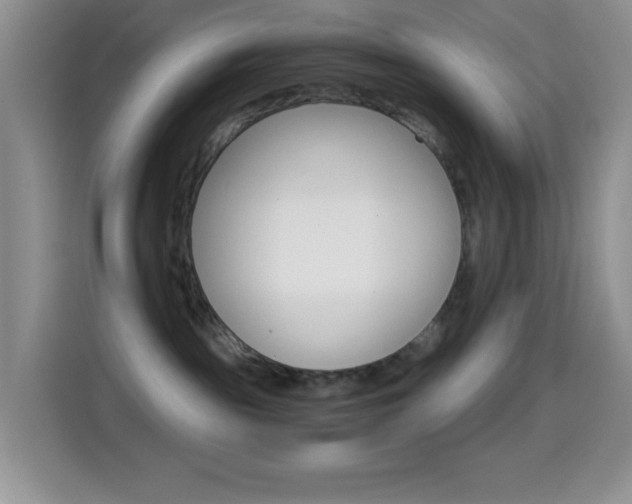 X0000114660189200910201028