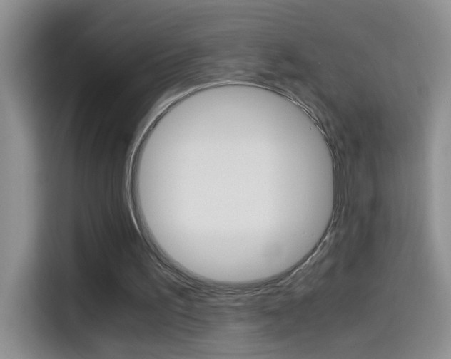 X0000114660195200910201027