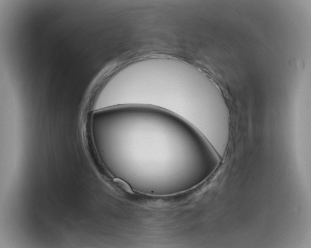 X0000114660197200910201027