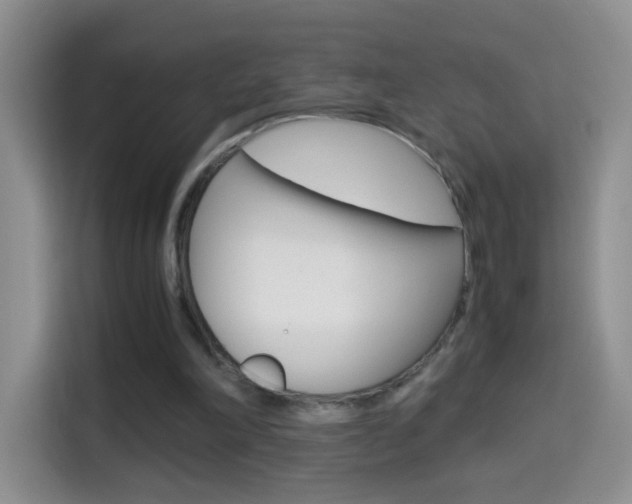 X0000114660198200910201027