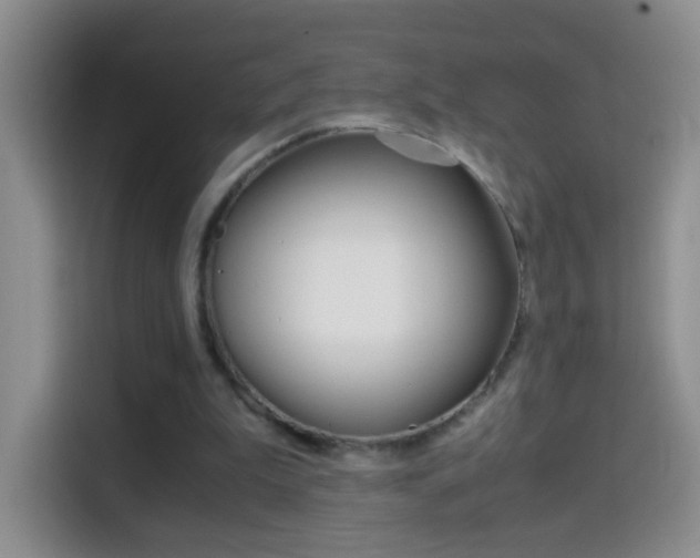 X0000114660199200910201027