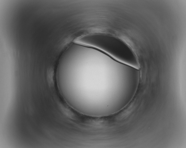X0000114660201200910201027