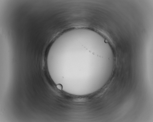 X0000114660202200910201027