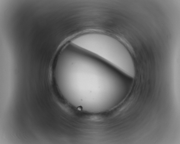 X0000114660204200910201027