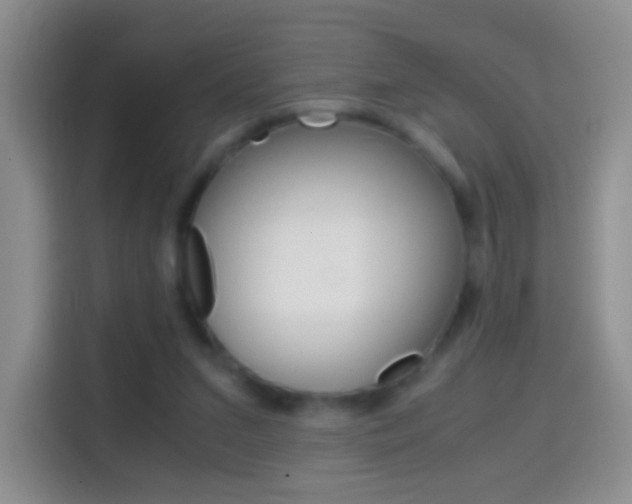 X0000114660207200910201027