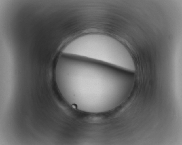 X0000114660208200910201027