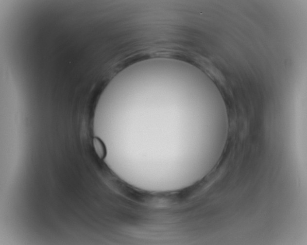 X0000114660209200910201027