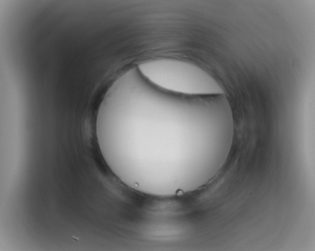 X0000114660210200910201027