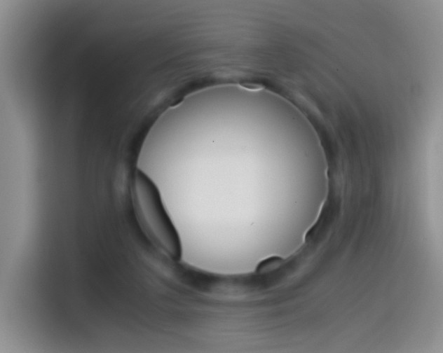 X0000114660211200910201027