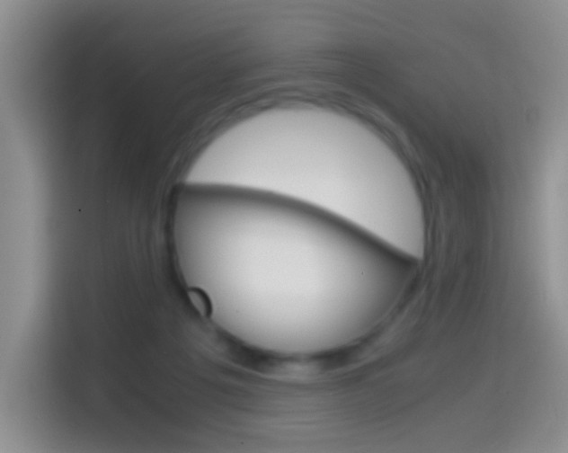 X0000114660217200910201027