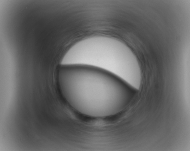 X0000114660219200910201027