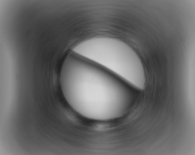 X0000114660220200910201027