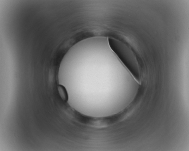 X0000114660221200910201027