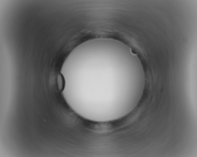 X0000114660225200910201027