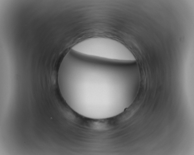 X0000114660232200910201027